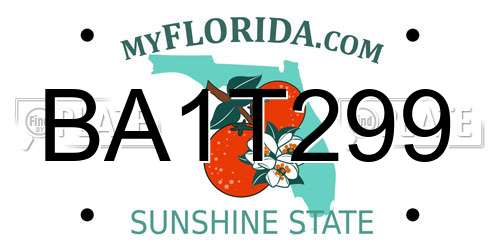 BA1T299 Florida License Plate