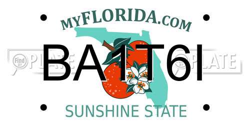 BA1T6I Florida License Plate