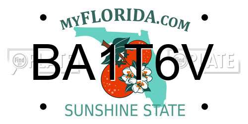 BA1T6V Florida License Plate