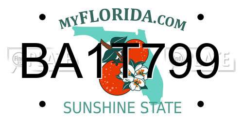 BA1T799 Florida License Plate