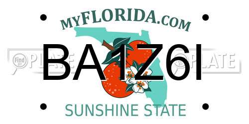 BA1Z6I Florida License Plate