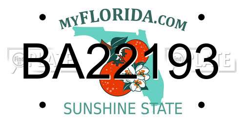BA22193 Florida License Plate