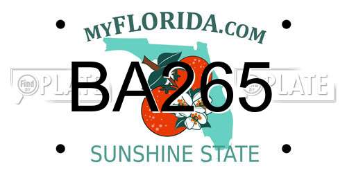 BA265 Florida License Plate