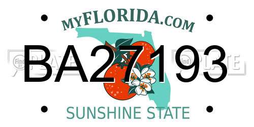 BA27193 Florida License Plate