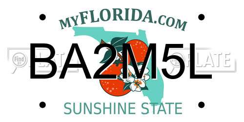 BA2M5L Florida License Plate