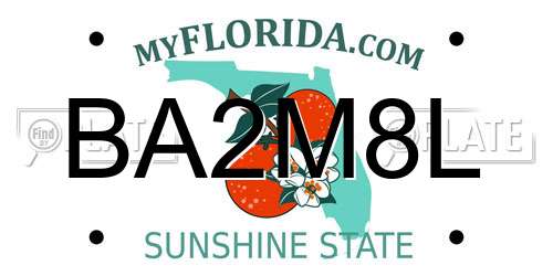 BA2M8L Florida License Plate