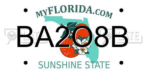 BA2O8B Florida License Plate