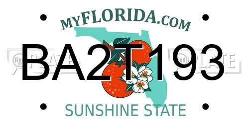 BA2T193 Florida License Plate