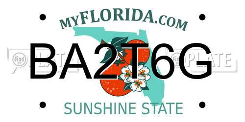 BA2T6G Florida License Plate