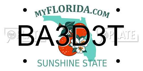 BA3D3T Florida License Plate