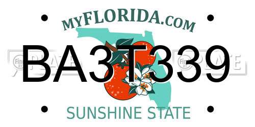 BA3T339 Florida License Plate