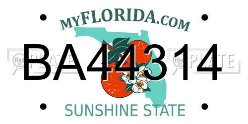 BA44314 Florida License Plate