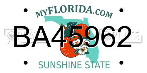BA45962 Florida License Plate