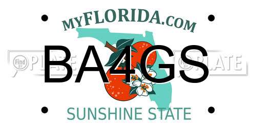 BA4GS Florida License Plate