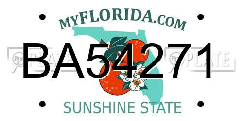 BA54271 Florida License Plate