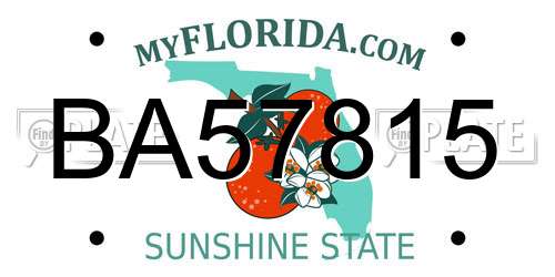 BA57815 Florida License Plate