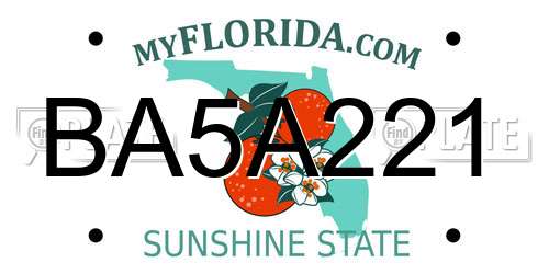 BA5A221 Florida License Plate