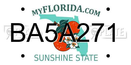 BA5A271 Florida License Plate