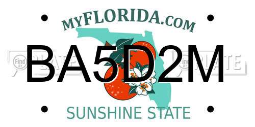 BA5D2M Florida License Plate