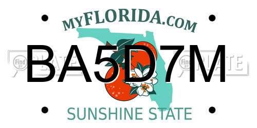 BA5D7M Florida License Plate