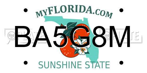 BA5G8M Florida License Plate