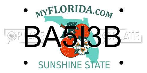 BA5I3B Florida License Plate