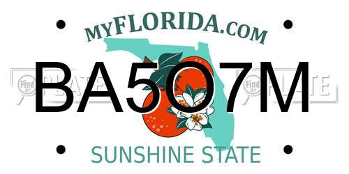 BA5O7M Florida License Plate