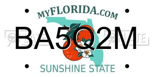 BA5Q2M Florida License Plate