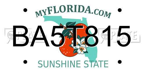 BA5T815 Florida License Plate