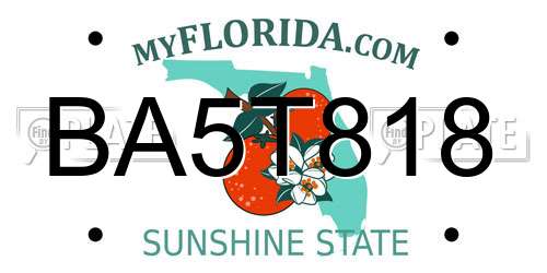 BA5T818 Florida License Plate