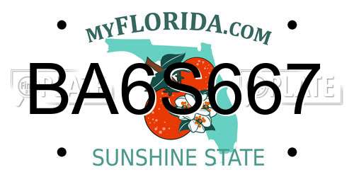 BA6S667 Florida License Plate