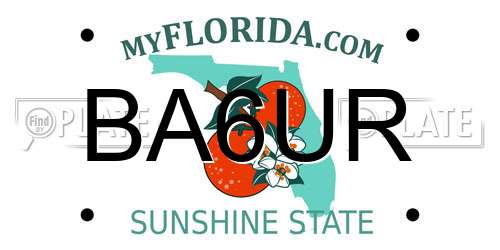 BA6UR Florida License Plate