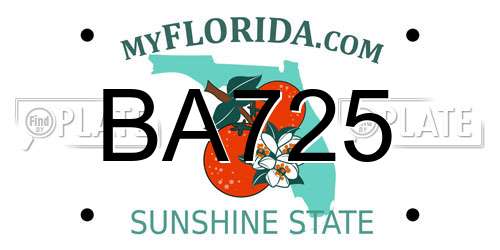 BA725 Florida License Plate