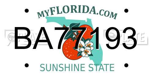 BA77193 Florida License Plate