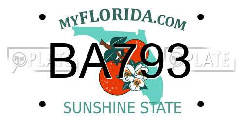 BA793 Florida License Plate