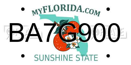 BA7G900 Florida License Plate