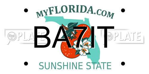 BA7IT Florida License Plate