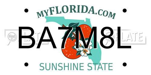 BA7M8L Florida License Plate