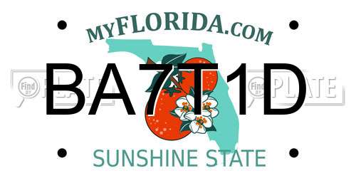 BA7T1D Florida License Plate