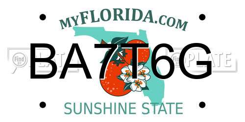 BA7T6G Florida License Plate