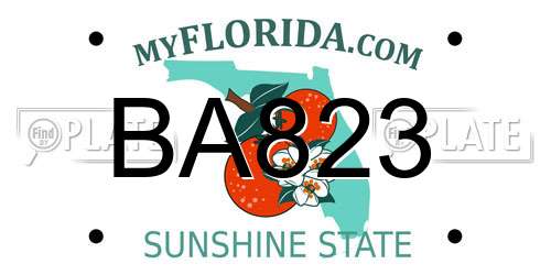 BA823 Florida License Plate