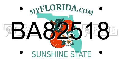 BA82518 Florida License Plate