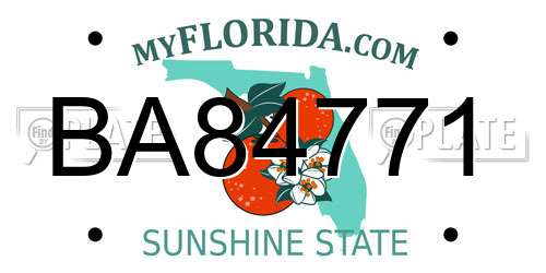 BA84771 Florida License Plate