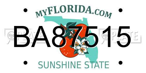 BA87515 Florida License Plate