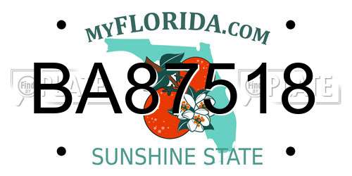 BA87518 Florida License Plate