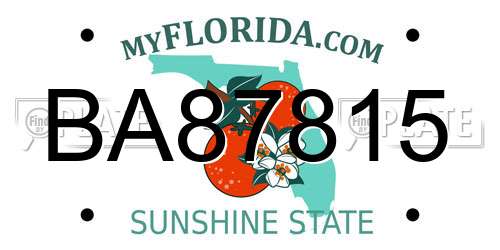 BA87815 Florida License Plate