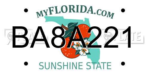 BA8A221 Florida License Plate
