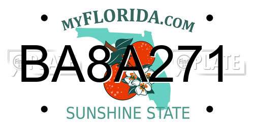 BA8A271 Florida License Plate