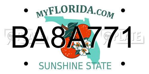 BA8A771 Florida License Plate