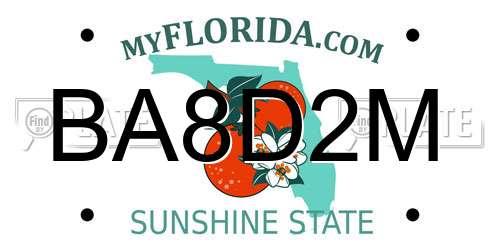 BA8D2M Florida License Plate